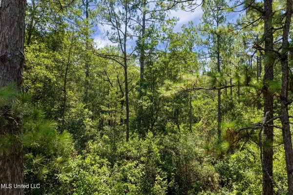$1,728,700 | 293 Acres Scruggs Road, Sumrall, MS 39482