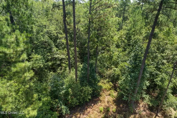 $1,728,700 | 293 Acres Scruggs Road, Sumrall, MS 39482