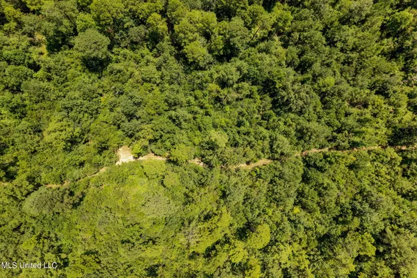 $1,728,700 | 293 Acres Scruggs Road, Sumrall, MS 39482