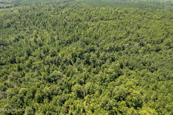 $1,728,700 | 293 Acres Scruggs Road, Sumrall, MS 39482