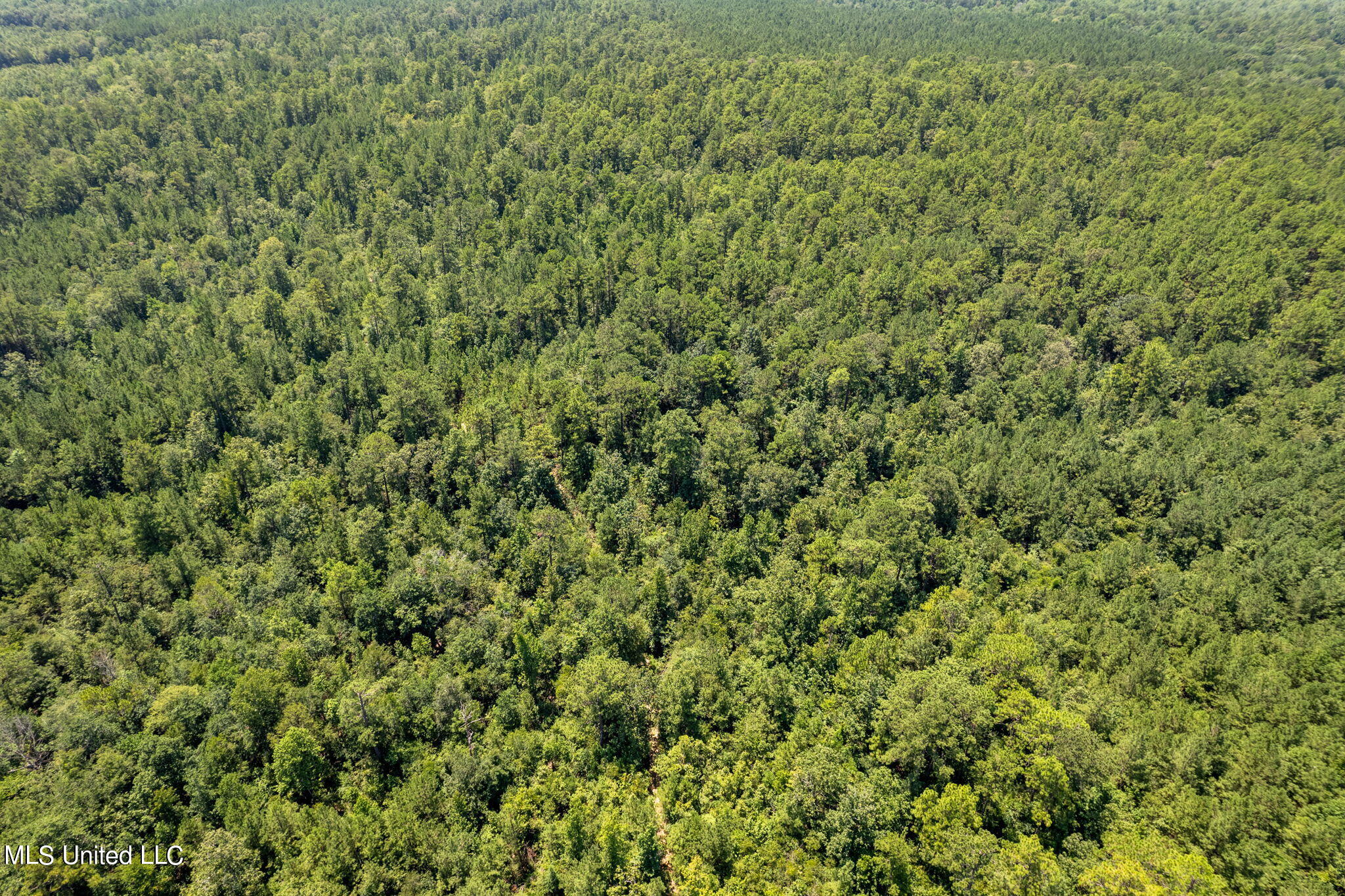 293 Acres Scruggs Road Sumrall, MS 39482 - Photo 19 of 34 0_SCRUGGS_RD-19