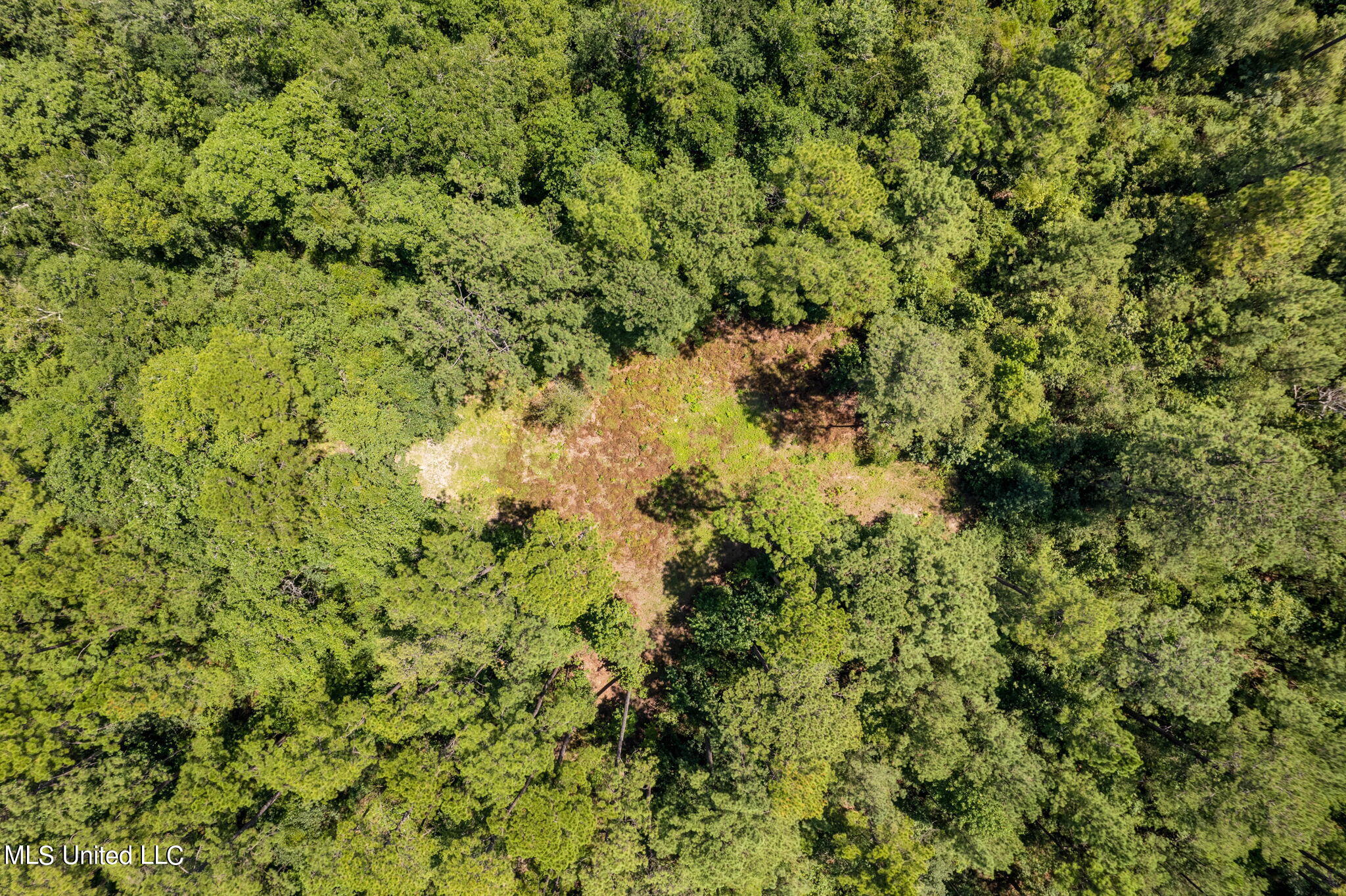 293 Acres Scruggs Road Sumrall, MS 39482 - Photo 20 of 34 0_SCRUGGS_RD-20