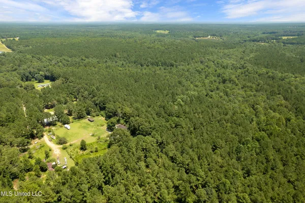 $1,728,700 | 293 Acres Scruggs Road, Sumrall, MS 39482