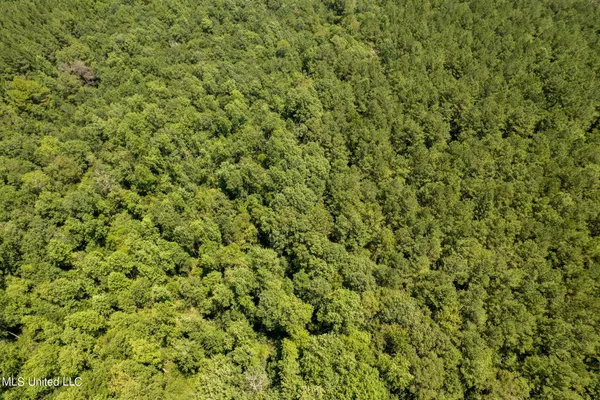 $1,728,700 | 293 Acres Scruggs Road, Sumrall, MS 39482