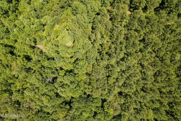 $1,728,700 | 293 Acres Scruggs Road, Sumrall, MS 39482