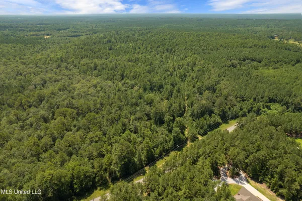 $1,728,700 | 293 Acres Scruggs Road, Sumrall, MS 39482