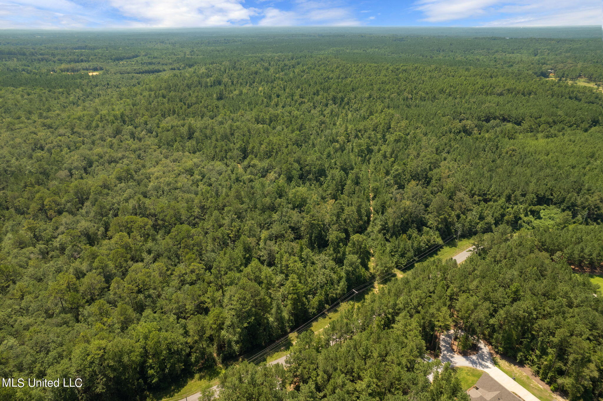 293 Acres Scruggs Road Sumrall, MS 39482 - Photo 23 of 34 0_SCRUGGS_RD-23