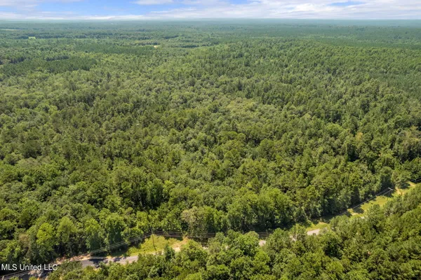$1,728,700 | 293 Acres Scruggs Road, Sumrall, MS 39482