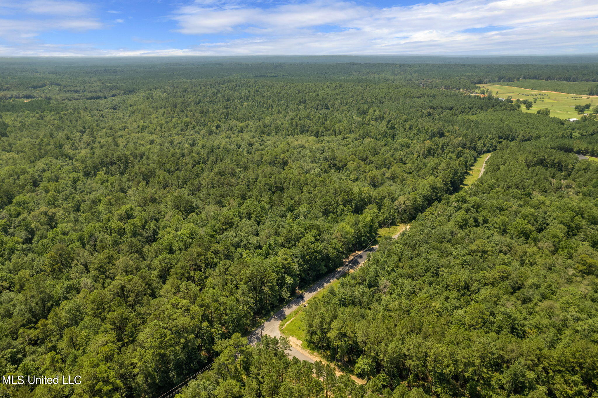 293 Acres Scruggs Road Sumrall, MS 39482 - Photo 25 of 34 0_SCRUGGS_RD-25