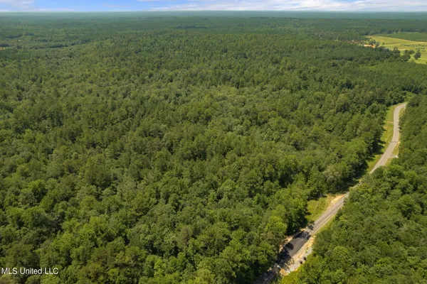 $1,728,700 | 293 Acres Scruggs Road, Sumrall, MS 39482