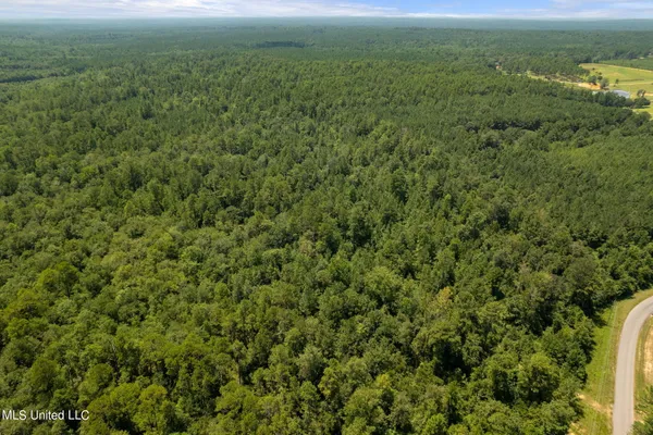$1,728,700 | 293 Acres Scruggs Road, Sumrall, MS 39482