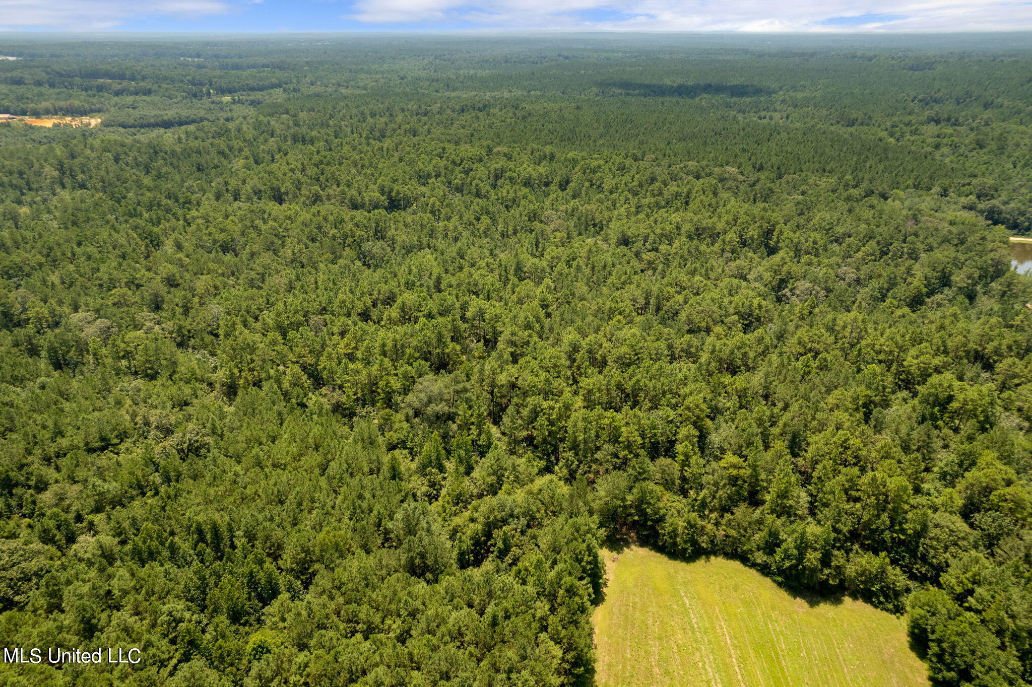 293 Acres Scruggs Road Sumrall, MS 39482 - Photo 28 of 34 0_SCRUGGS_RD-28
