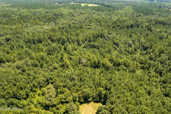 $1,728,700 | 293 Acres Scruggs Road, Sumrall, MS 39482