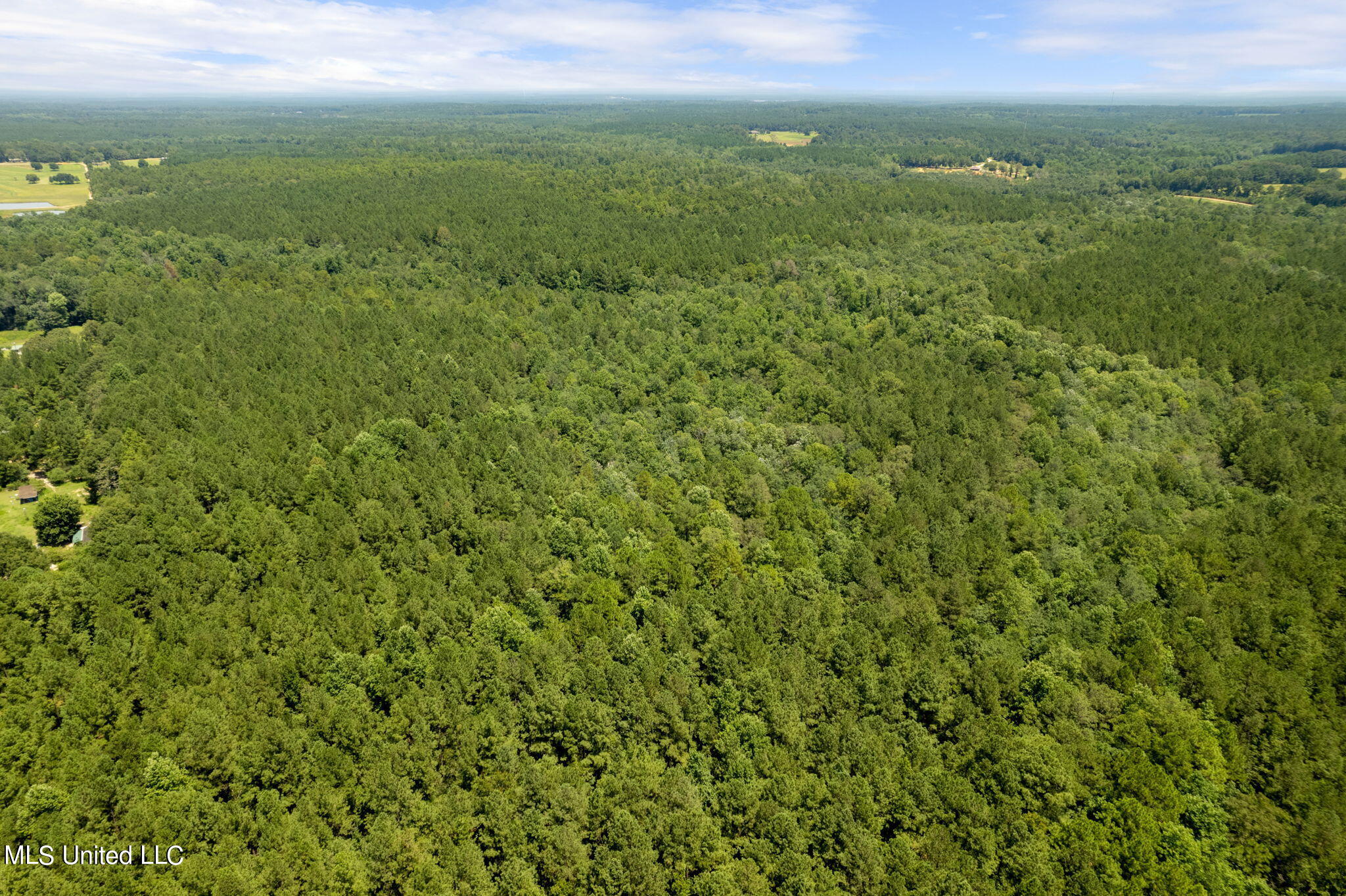 293 Acres Scruggs Road Sumrall, MS 39482 - Photo 30 of 34 0_SCRUGGS_RD-30