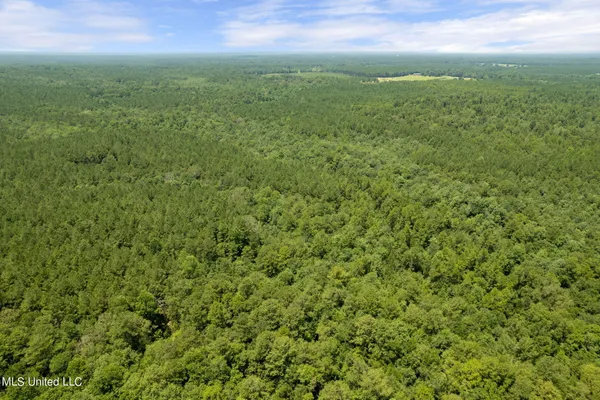 $1,728,700 | 293 Acres Scruggs Road, Sumrall, MS 39482