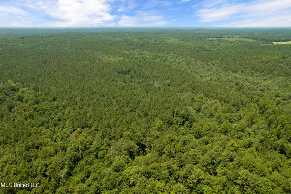 $1,728,700 | 293 Acres Scruggs Road, Sumrall, MS 39482