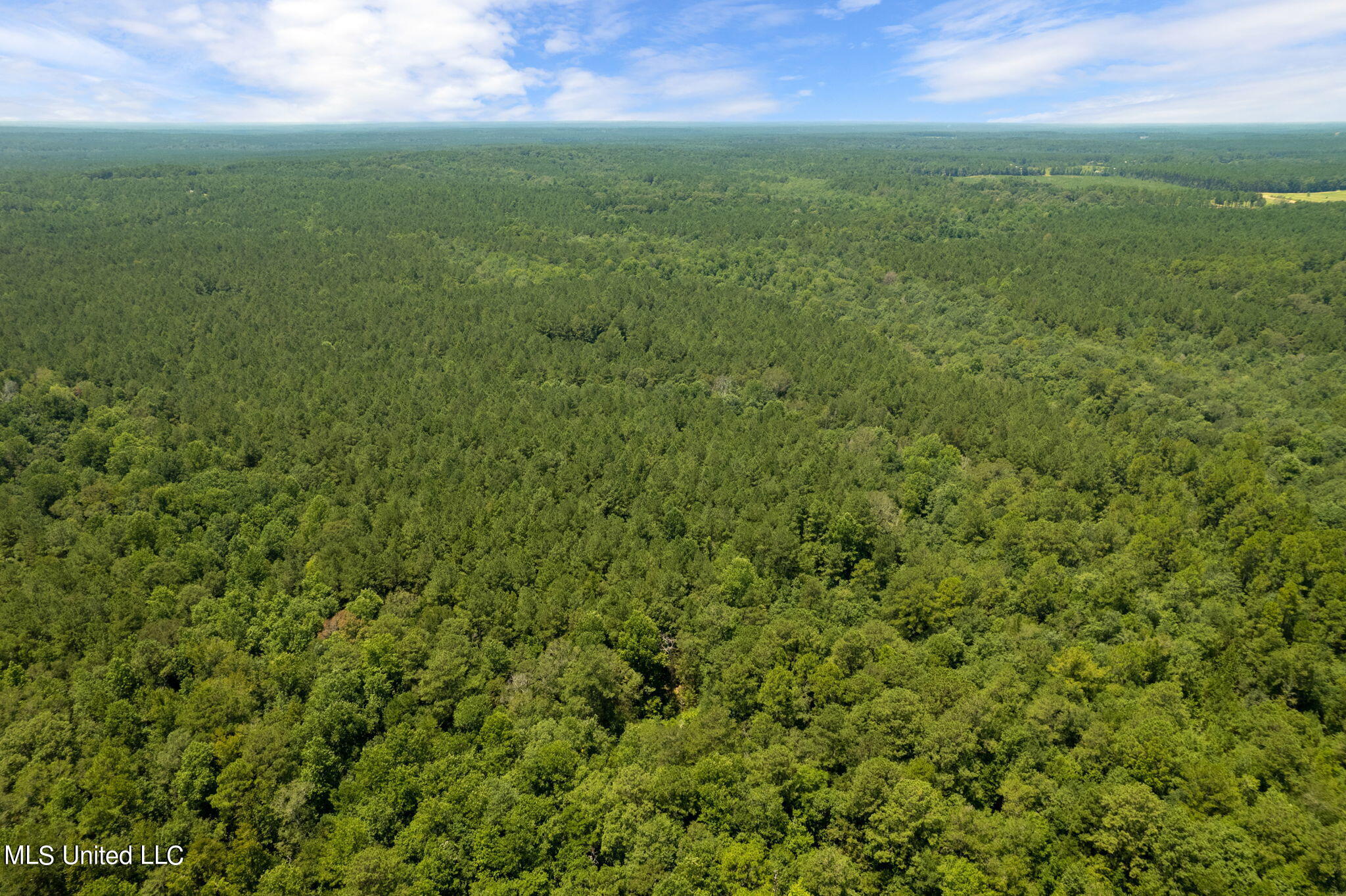 293 Acres Scruggs Road Sumrall, MS 39482 - Photo 32 of 34 0_SCRUGGS_RD-32