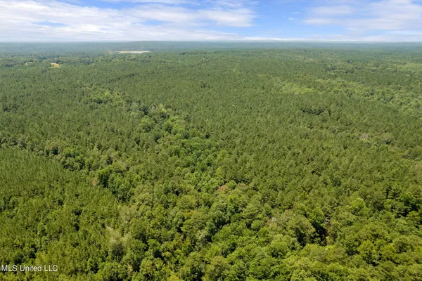 $1,728,700 | 293 Acres Scruggs Road, Sumrall, MS 39482