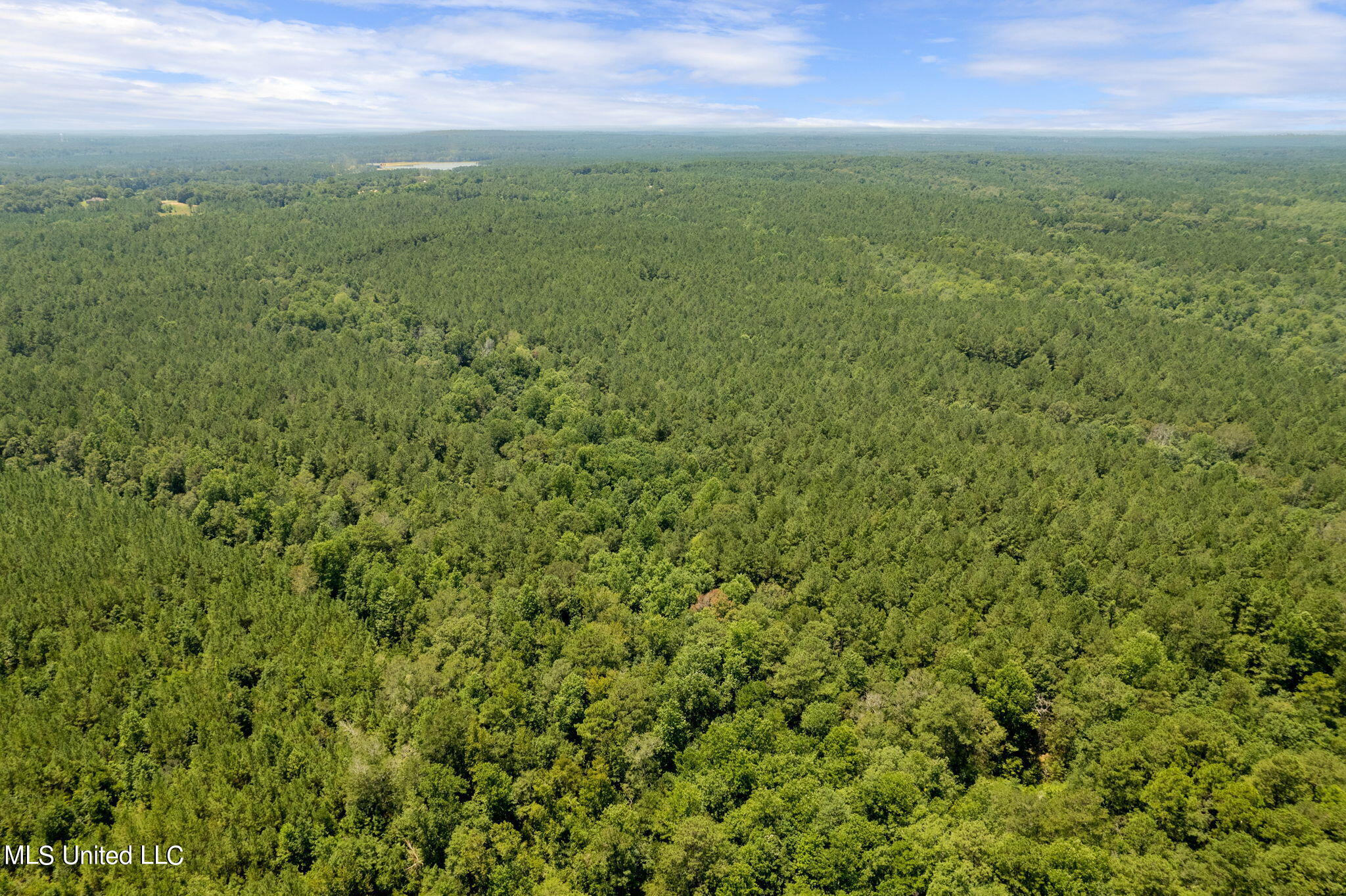 293 Acres Scruggs Road Sumrall, MS 39482 - Photo 33 of 34 0_SCRUGGS_RD-33