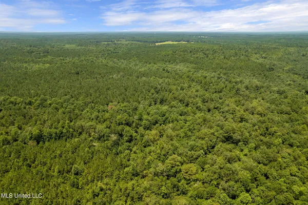 $1,728,700 | 293 Acres Scruggs Road, Sumrall, MS 39482