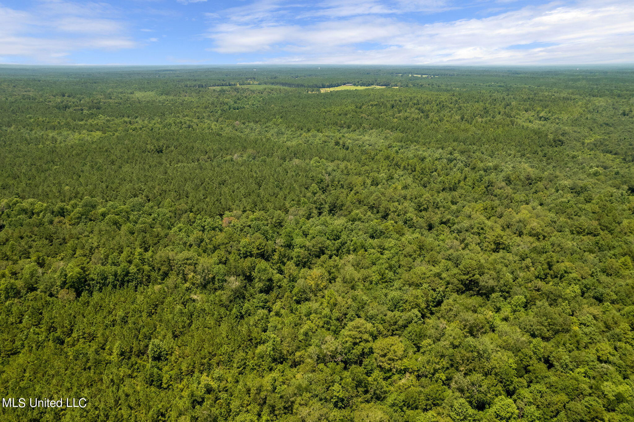 293 Acres Scruggs Road Sumrall, MS 39482 - Photo 34 of 34 0_SCRUGGS_RD-34