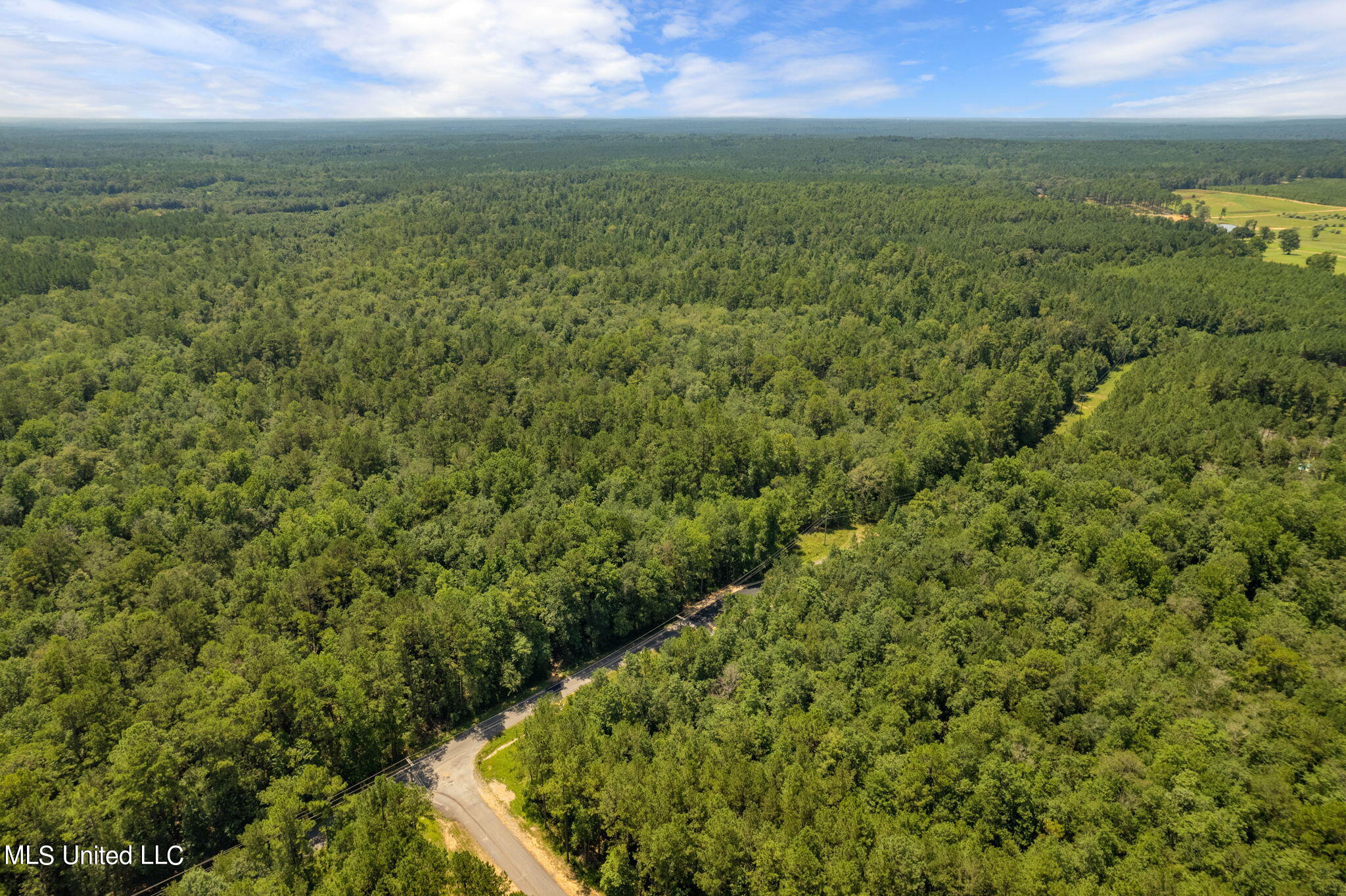 293 Acres Scruggs Road Sumrall, MS 39482 - Photo 4 of 34 0_SCRUGGS_RD-4