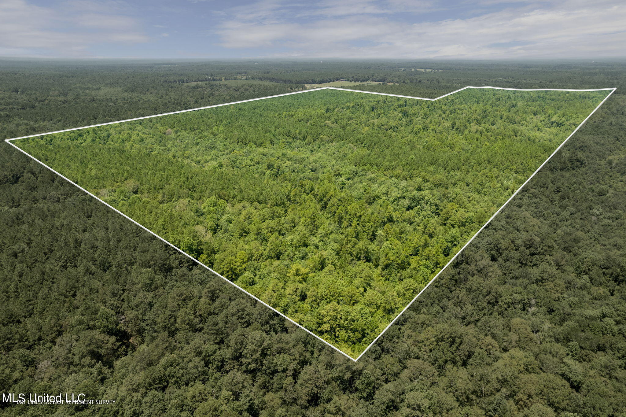 293 Acres Scruggs Road Sumrall, MS 39482 - Photo 5 of 34 0_SCRUGGS_RD-5