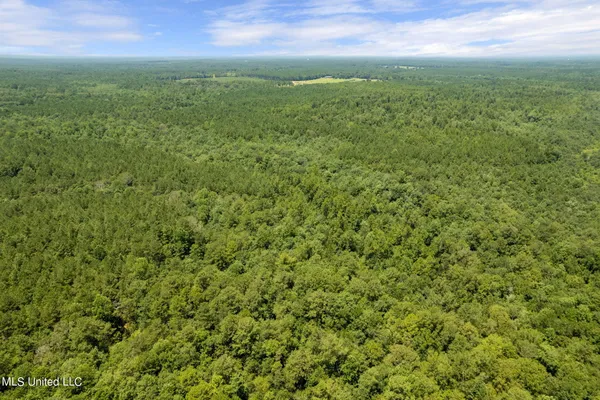 $1,728,700 | 293 Acres Scruggs Road, Sumrall, MS 39482