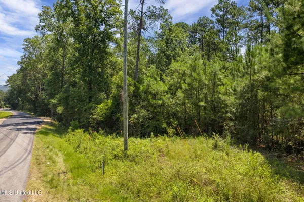 $1,728,700 | 293 Acres Scruggs Road, Sumrall, MS 39482