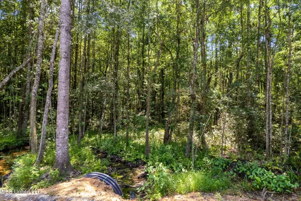 $1,728,700 | 293 Acres Scruggs Road, Sumrall, MS 39482
