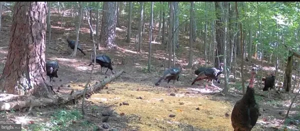 $125,000 | 635 Tobacco Ridge Road, Prince Frederick, MD 20678