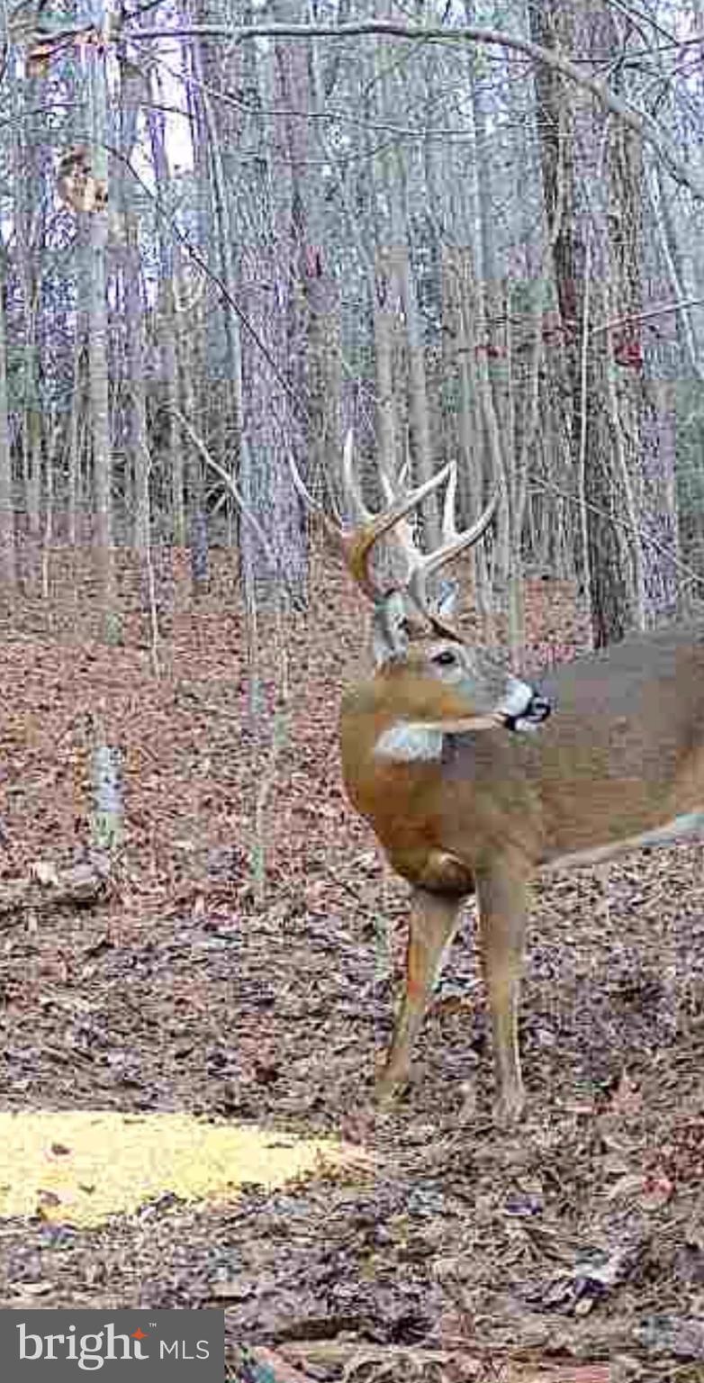 635 Tobacco Ridge Road Prince Frederick, MD 20678 - Photo 2 of 7