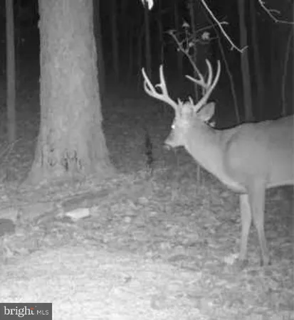 $125,000 | 635 Tobacco Ridge Road, Prince Frederick, MD 20678