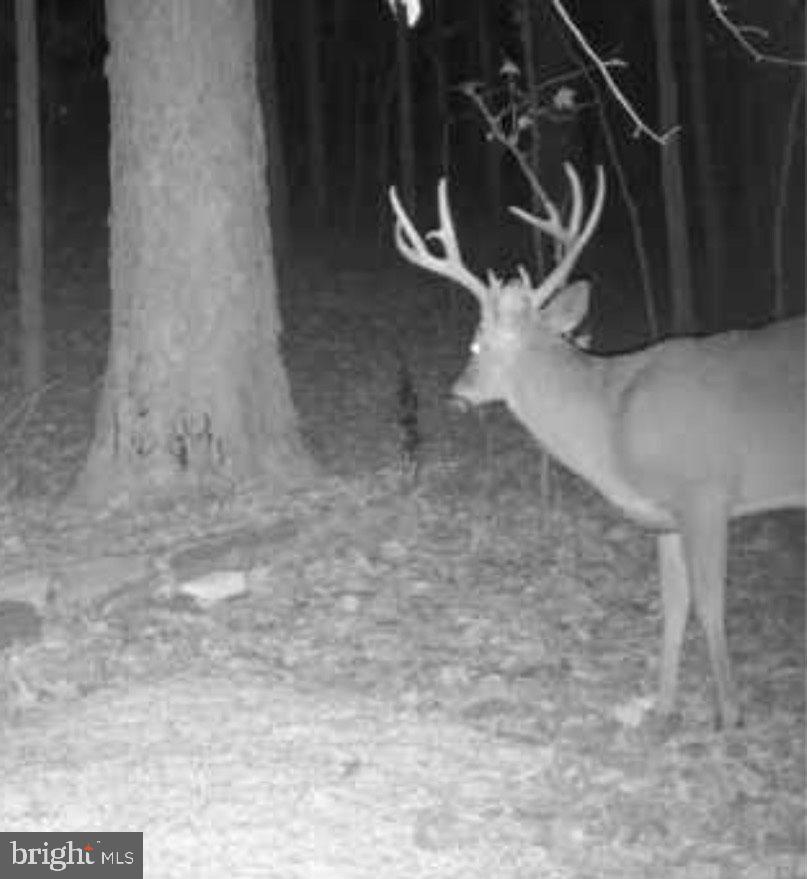 635 Tobacco Ridge Road Prince Frederick, MD 20678 - Photo 3 of 7