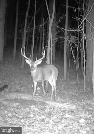 $125,000 | 635 Tobacco Ridge Road, Prince Frederick, MD 20678