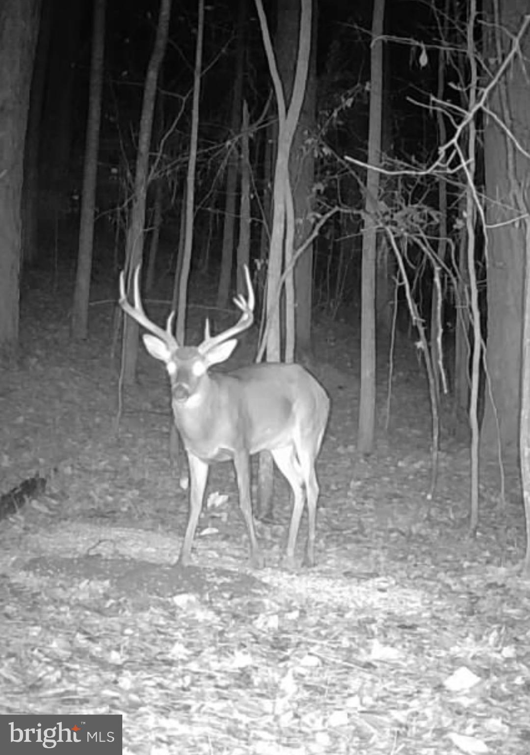 635 Tobacco Ridge Road Prince Frederick, MD 20678 - Photo 4 of 7