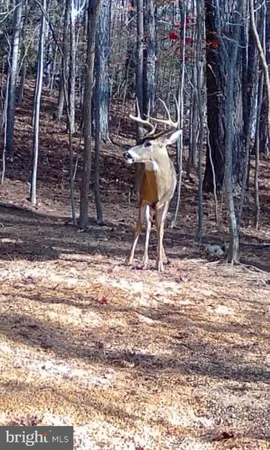 $125,000 | 635 Tobacco Ridge Road, Prince Frederick, MD 20678