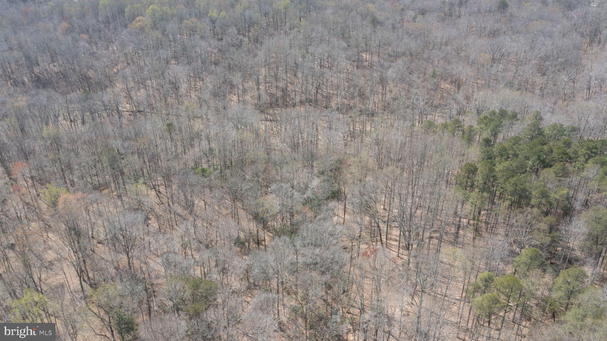 635 Tobacco Ridge Road Prince Frederick, MD 20678 - Photo 6 of 7