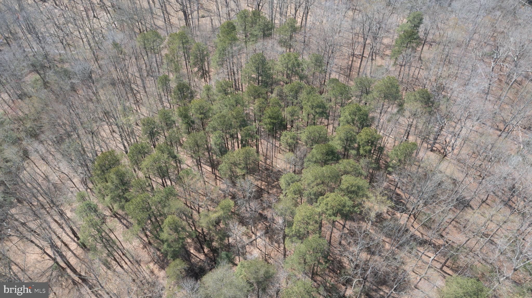 635 Tobacco Ridge Road Prince Frederick, MD 20678 - Photo 7 of 7