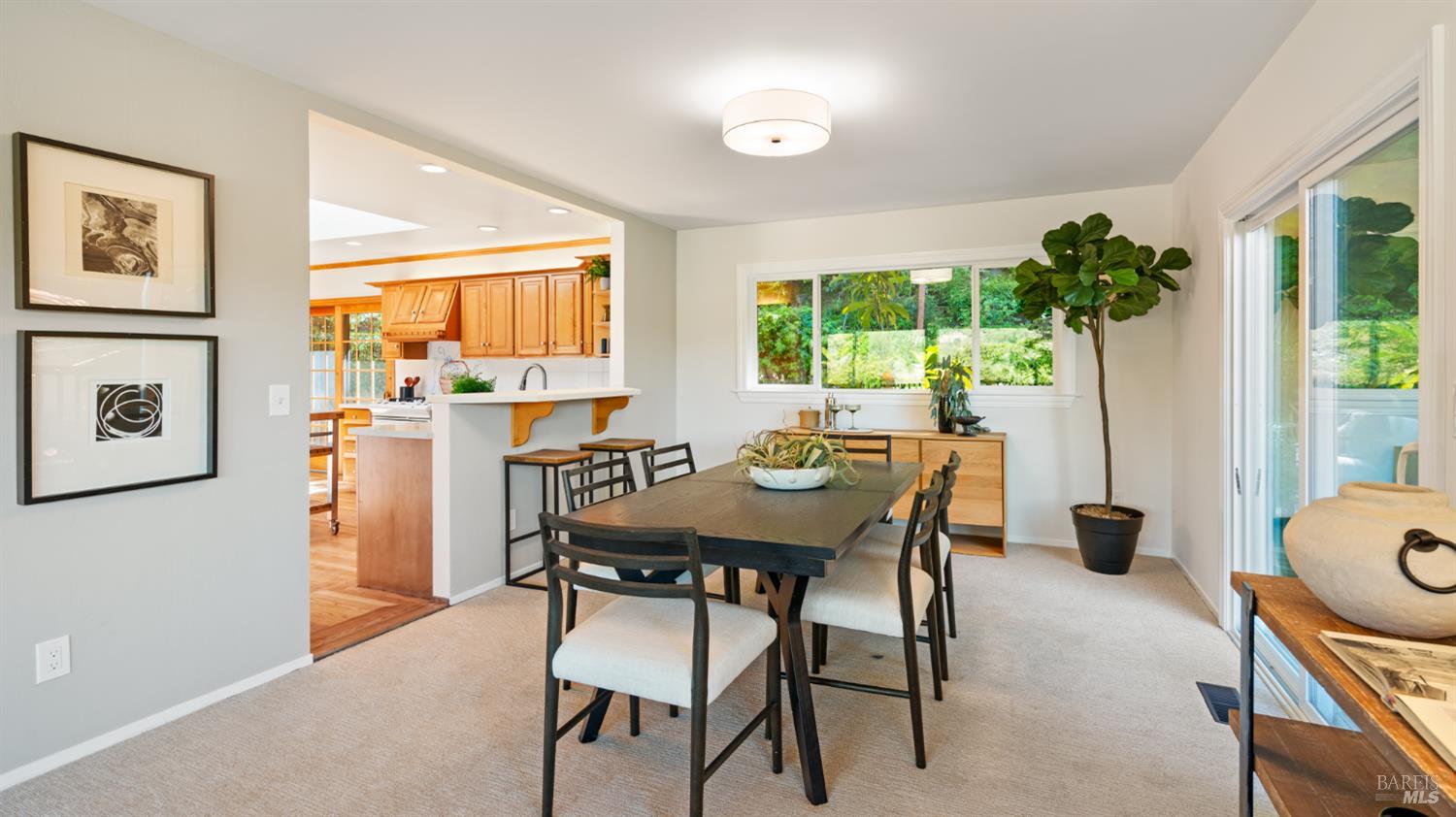 5 Viox Way San Rafael, CA 94901 - Photo 12 of 80