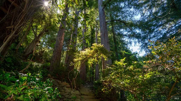 $1,495,000 | 5 Viox Way, San Rafael, CA 94901