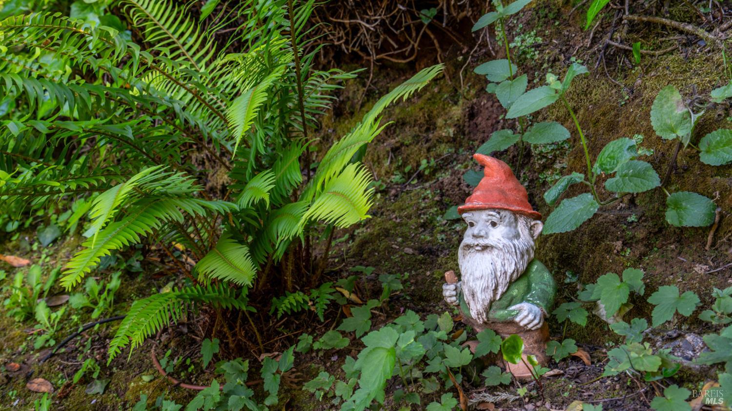 5 Viox Way San Rafael, CA 94901 - Photo 68 of 80