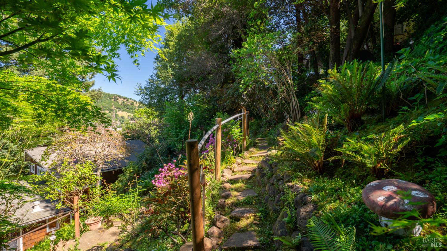 5 Viox Way San Rafael, CA 94901 - Photo 69 of 80