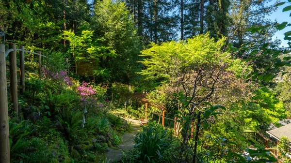 $1,495,000 | 5 Viox Way, San Rafael, CA 94901