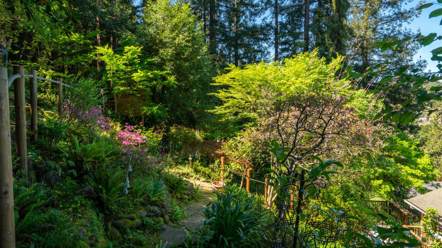 5 Viox Way San Rafael, CA 94901 - Photo 70 of 80