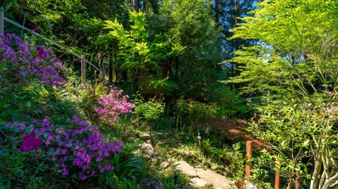 $1,495,000 | 5 Viox Way, San Rafael, CA 94901