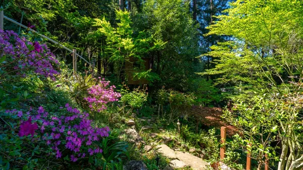 $1,495,000 | 5 Viox Way, San Rafael, CA 94901