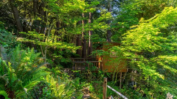 $1,495,000 | 5 Viox Way, San Rafael, CA 94901