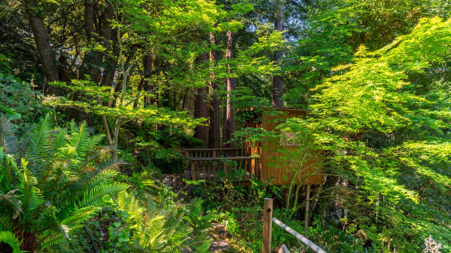 5 Viox Way San Rafael, CA 94901 - Photo 74 of 80