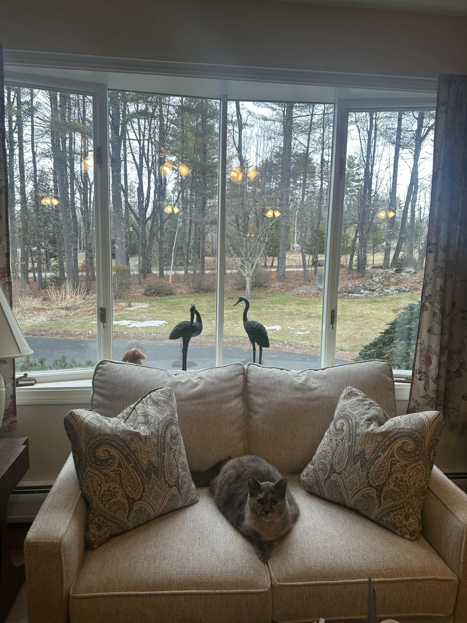 271 Hampden Road Carmel, ME 04419 - Photo 7 of 64 Living Rm